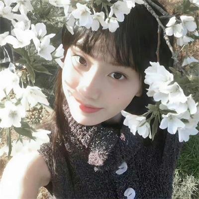 尤物争春